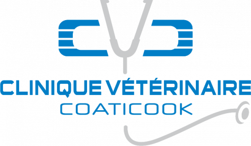 Clinique vétérinaire de Coaticook – Animaux de compagnie